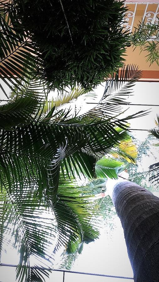 Hotel Tierra Del Sol Oaxaca Экстерьер фото